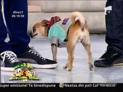 Nico, incantata de nou ei piesa