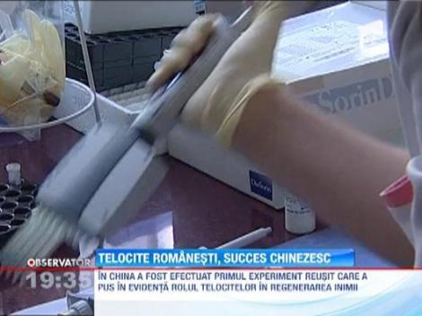 Telocitele, descoperite in Romania, dar transformate in succes de chinezi