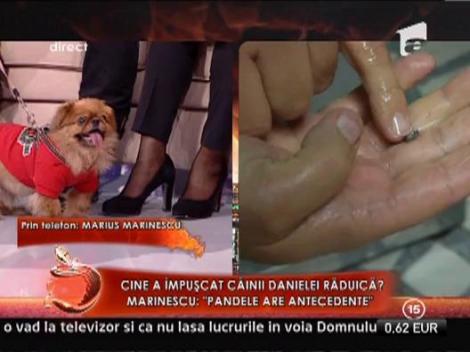 Marius Marinescu: "Pandele nu avea voie sa traga in oras"