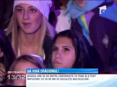 Intreaga lume se pregateste de sarbatorile de iarna!