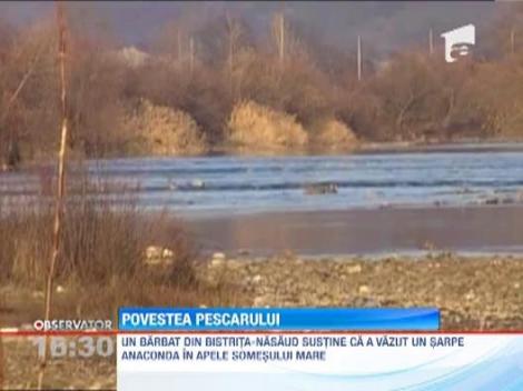 Un barbat din Bistrita-Nasaud sustine ca a vazut un sarpe anaconda in Somes: "M-am speriat total"