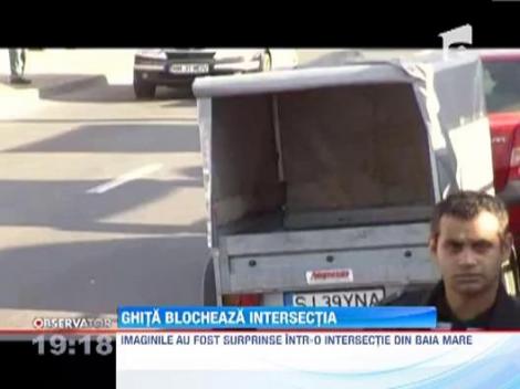 Presimtind ca-i vine sfarsitul, un porc de 200 de kilograme, a tulit-o cat ai zice peste pe strazile orasului Baia Mare