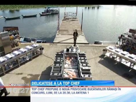 Concurentii de la Top Chef vor gati cea mai scumpa carne de vita din lume