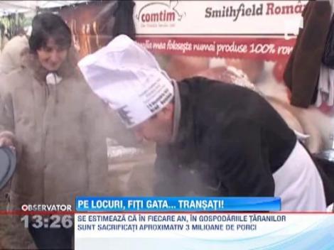 Bucatarii se pregatesc de Craciun