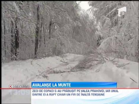 In Masivul Bucegi este risc maxim de avalansa