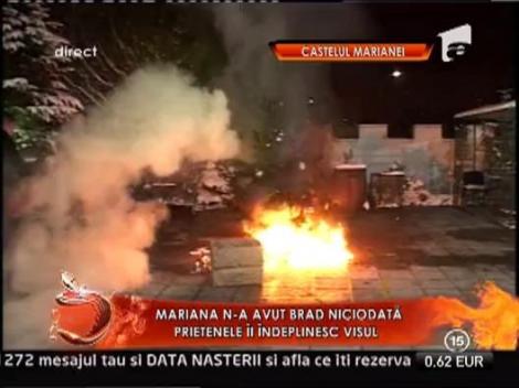 Mariana Calfa n-are noroc de brad de Craciun! Imediat dupa ce a fost impodobit, pomul a luat foc!
