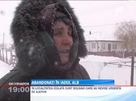 Viscolul a facut ravagii in toata tara! Urmeaza temperaturi de pana la minus 26 de grade