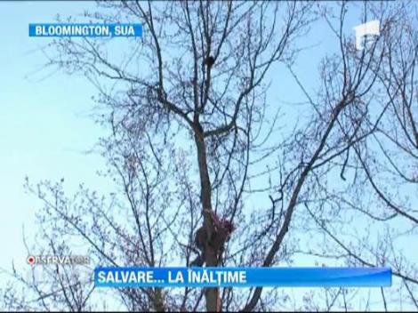 Salvare spectaculoasa in statul american Indiana! Un catarator profesionist si-a riscat viata pentru o pisica