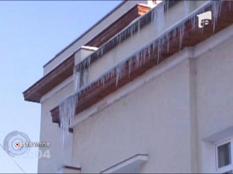 Zapada aduce noi pericole - turturii de gheata