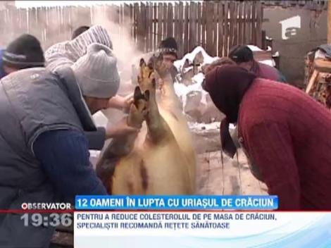 12 barbati s-au luptat cu cel mai mare porc! Afla cat cantarea animalul!