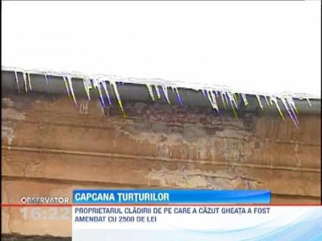 O tanara din Craiova a fost lovita in cap de catre un turtur