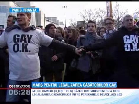 Mars pentru legalizarea casatoriilor gay, in Franta