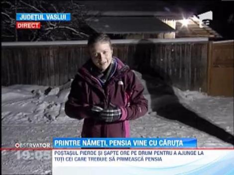 Ca pe vremuri: Printre nameti, pensia vine cu caruta