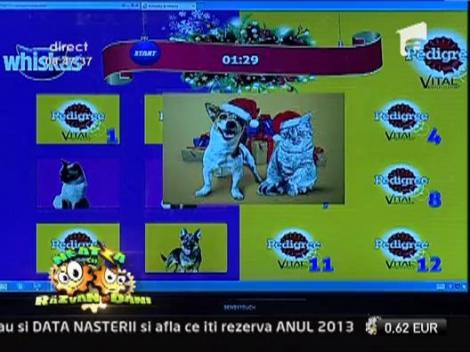 Echipa de la Neatza te premiaza