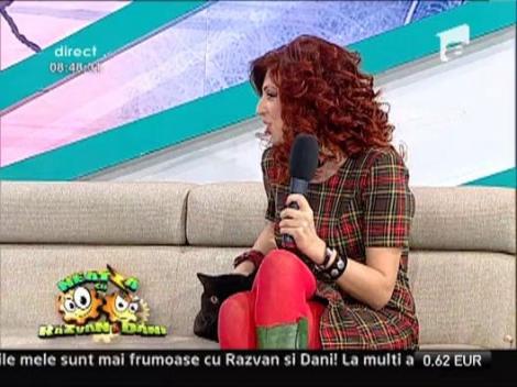 Pisica si bradul de Craciun