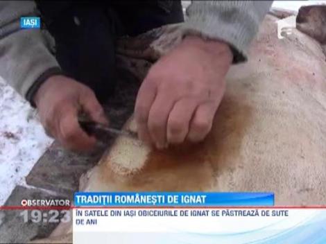 Traditia sacrificarii porcului a ramas neschimbata la romani