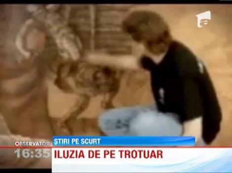 Arta pe sosea! Cele mai interesante desene 3D realizate pe trotuar