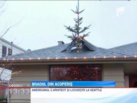 Un american si-a decupat acoperisul pentru a potrivi un brad imens in sufragerie