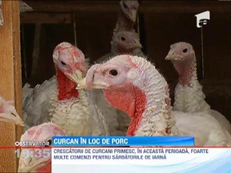 Medicii nutritionisti recomanda carnea de curcan pe masa de Craciun