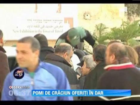 Crestinii din Ierusalim au primit in dar brazi. A fost dat startul festivitatilor de Craciun