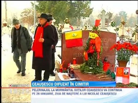 Pelerinaj la mormantul sotilor Ceausescu. Zeci de nostalgici l-au plans pe marele dictator