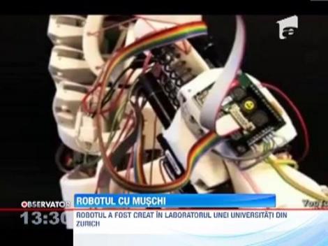 VIDEO: Primul robot umanoid cu muschi si tendoane