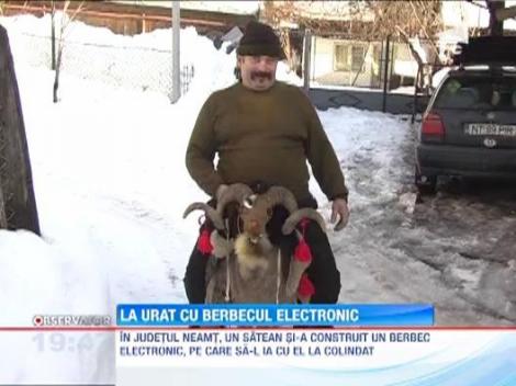 In Neamt, uratorii au inlocuit traditionala capra cu berbecul electronic