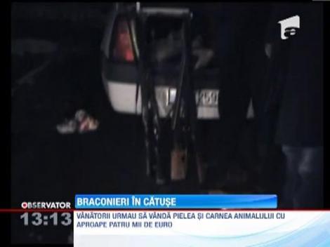 Braconieri incatusati in Mehedinti