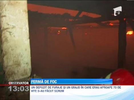 Buzau: Incendiu violent la o ferma de animale. Peste 30 de pompieri au intervenit pentru stingerea focului