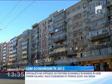 Specialistii ne recomanda sa economisim in moneda nationala. Pariul pe euro, mult prea riscant