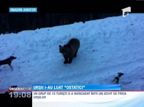 Momente de groaza in Sinaia: 15 turisti s-au baricadat ZECE ORE intr-un schit din cauza ursilor
