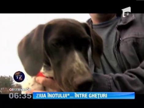 Ziua Nationala a Inotului