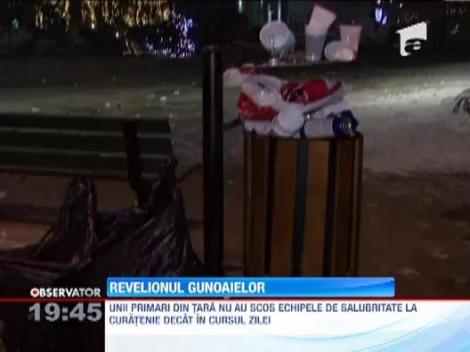 Zece tone de gunoi au ramas in urma petrecaretilor, de revelion