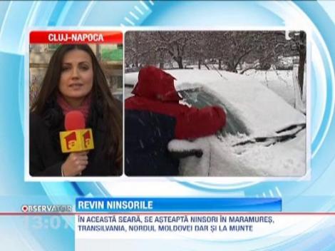 Ninsorile revin in centrul si nordul tarii