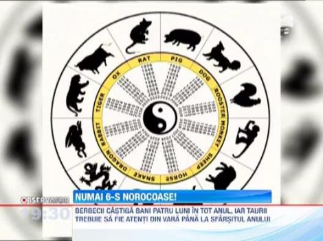 Previziunile astrale pentru anul 2013: Cum vom sta cu banii in noul an