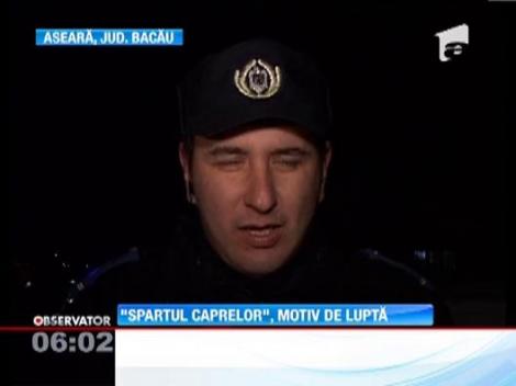 "Spartul caprelor", motiv de lupta in Oituz. Oamenii legii au intrat in actiune si au asigurat ordinea
