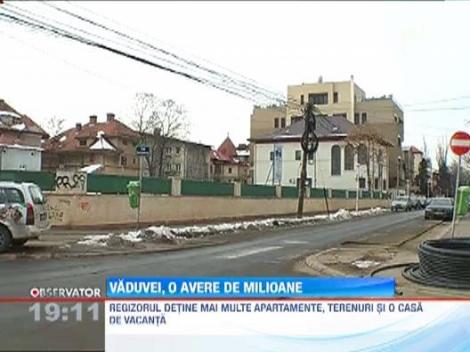 Averea lui Sergiu Nicolaescu