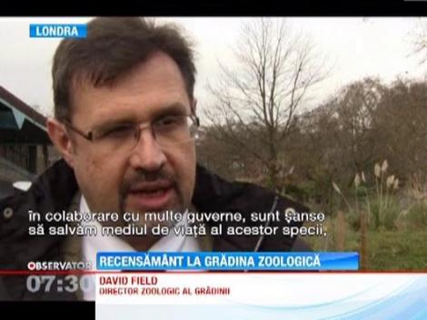 A inceput recensamantului la Gradina Zoologica din Londra, casa a peste 17.500 de exemplare