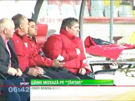 Borcea are incredere in Talnar: "Va duce Dinamo in Europa"