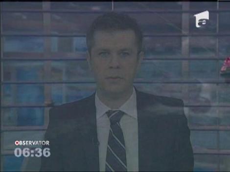 O caprioara a fost salvata de pe suprafata inghetata a unui lac din statul american Massachusetts