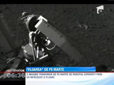 Robotul Curiosity a descoperit o "floare", pe Marte