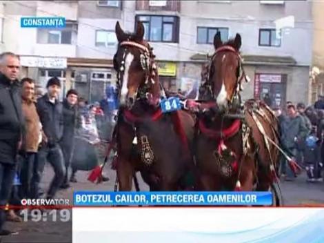 Credinciosii si-au botezat animalele cu apa sfintita