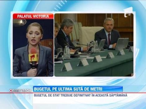Bugetul de stat va fi decis dupa 20 ianuarie