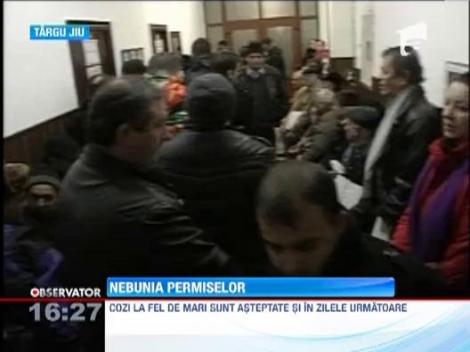 De frica noilor taxe, mii romani stau la coada ca sa-si schimbe carnetele de conducere