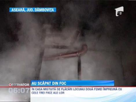 La un pas sa arda de vii