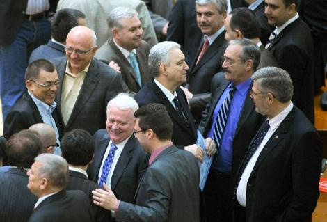 Etichetele pufoase si copacii "mortali", in atentia parlamentarilor romani. Cele mai ciudate propuneri legislative