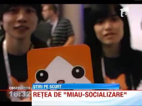 In Canada, pisicile au un site de socializare numai al lor. A fost lansat de Craciun si are deja peste 2.000 de membri