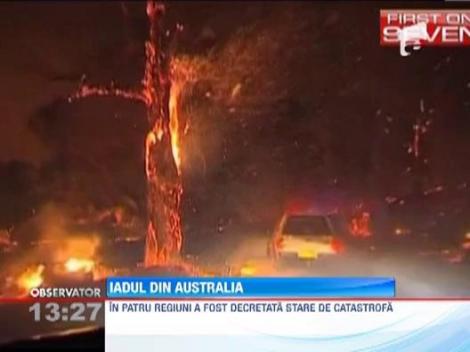 Australia, cuprinsa de un val de incendii de vegetatie