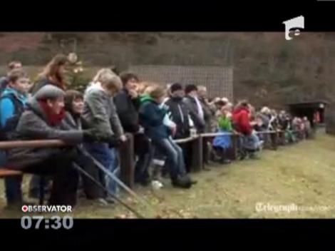In Germania a fost organizat un concurs de aruncat brazii de Craciun