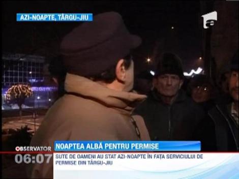 Soferii din Targu-Jiu au stat la coada sa-si schimbe permisul auto fara vizita medicala